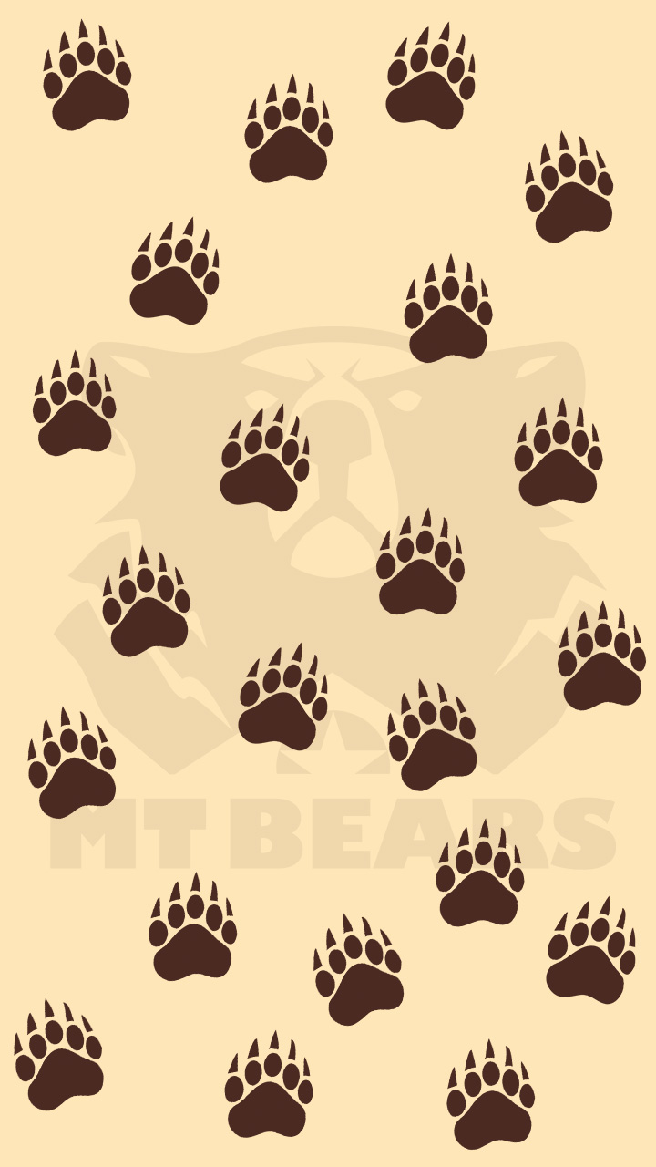 PP Smart MTBears 01 A