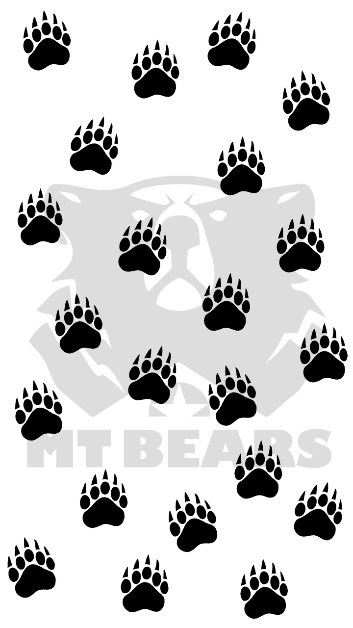 PP Smart MTBears 01 B