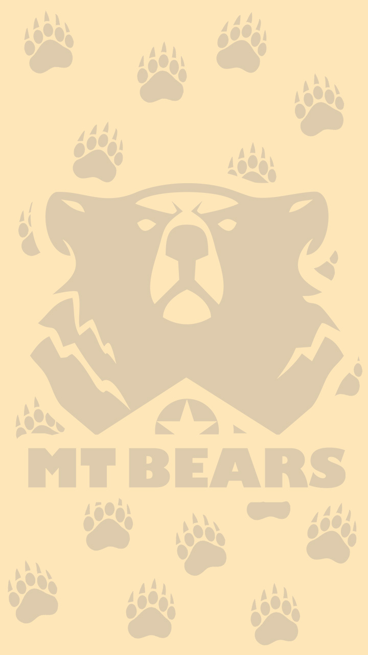 PP Smart MTBears 01 C