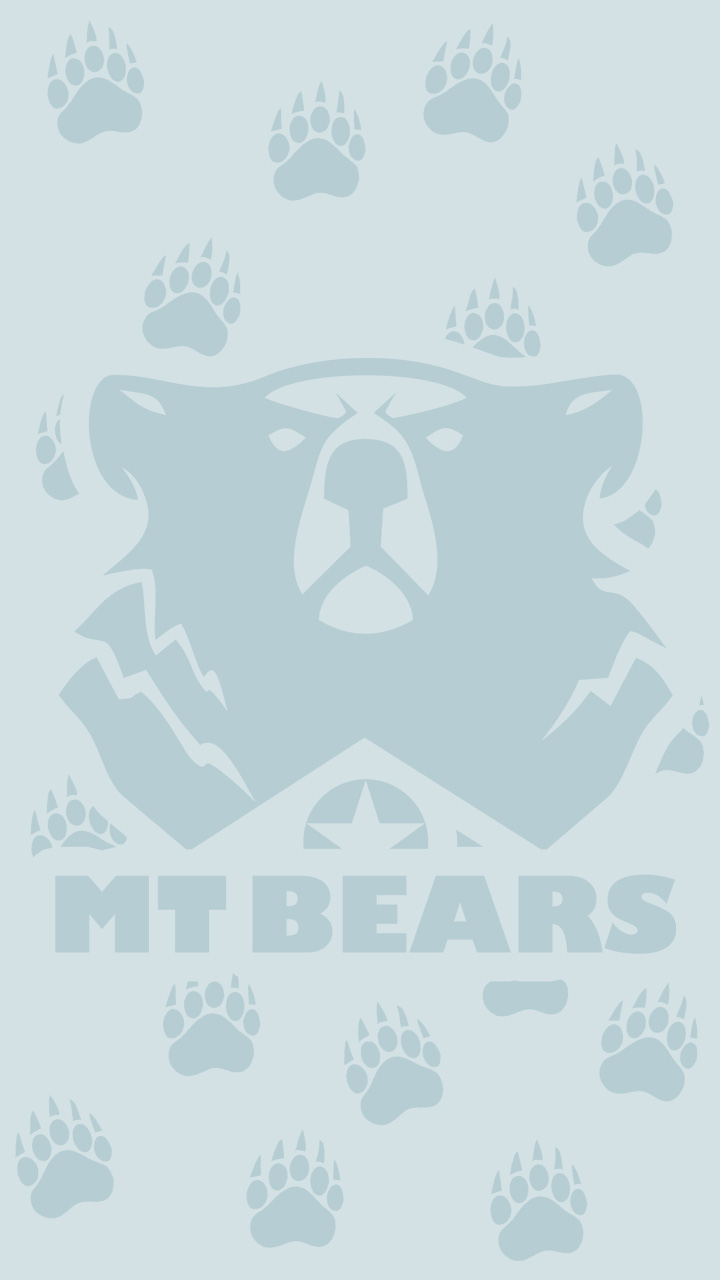 PP Smart MTBears 01 D
