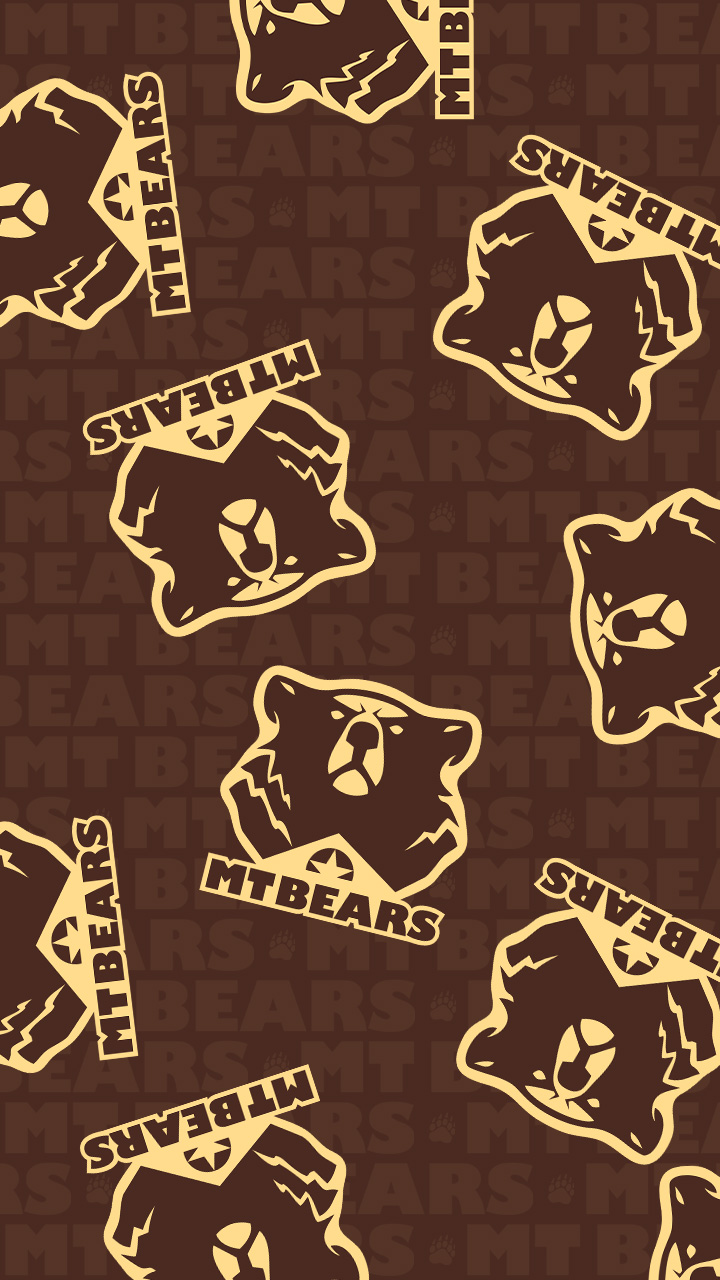 PP Smart MTBears 02 A