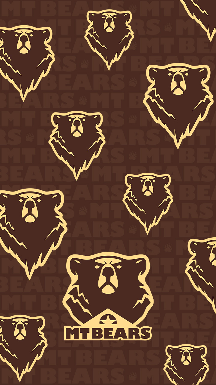 PP Smart MTBears 03 A