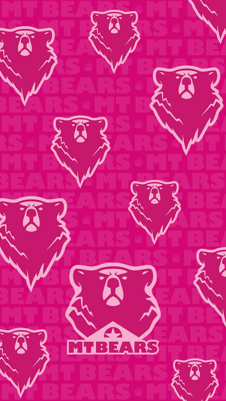PP Smart MTBears 03 B