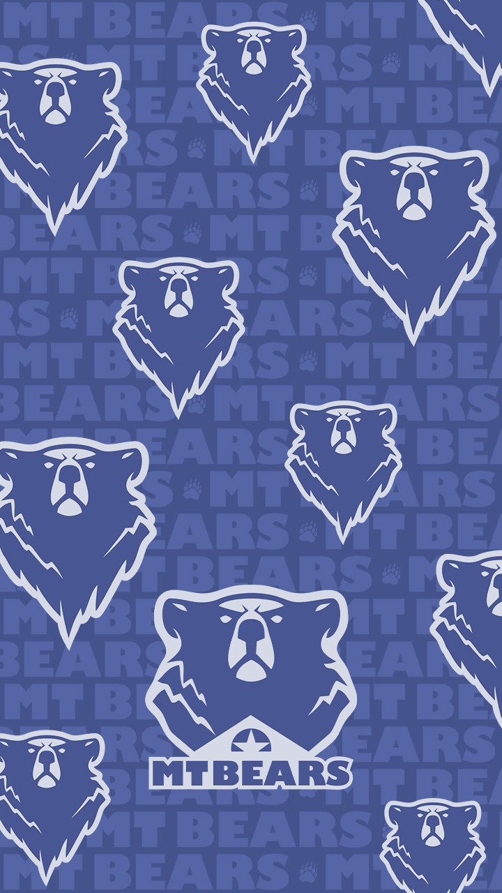 PP Smart MTBears 03 C