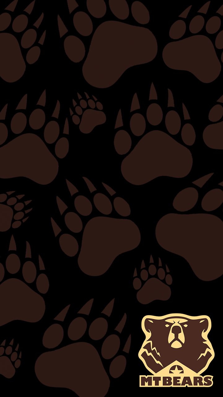 PP Smart MTBears 04 A