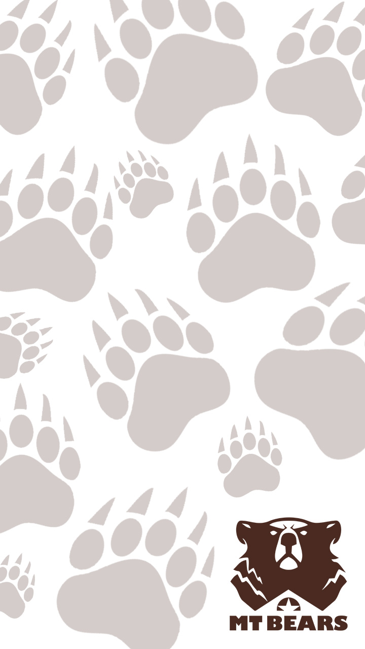 PP Smart MTBears 04 B