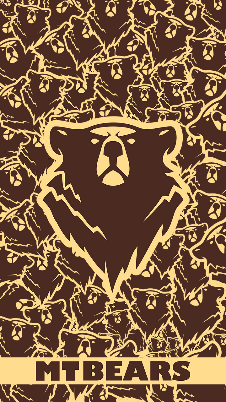 PP Smart MTBears 05 A