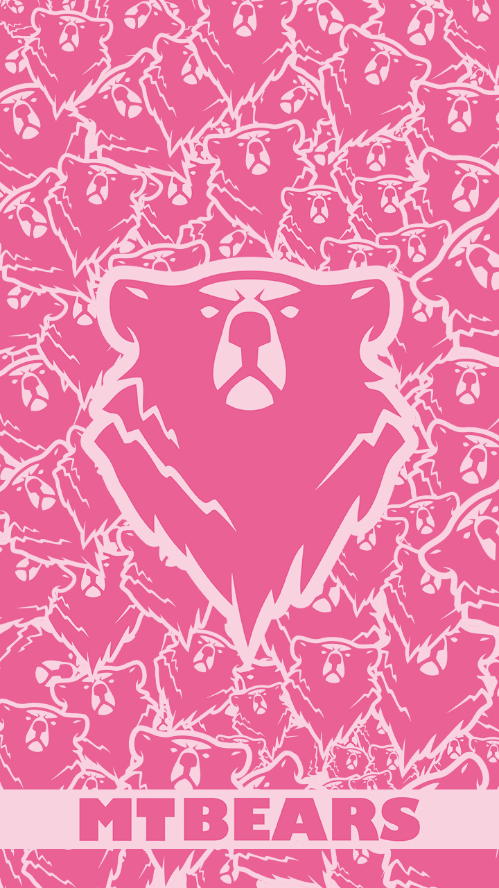 PP Smart MTBears 05 B