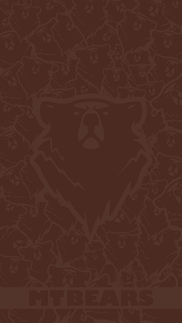 PP Smart MTBears 05 C