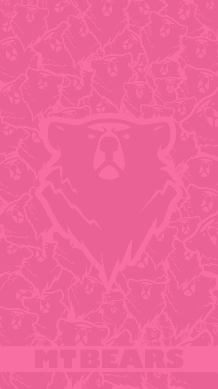 PP Smart MTBears 05 D